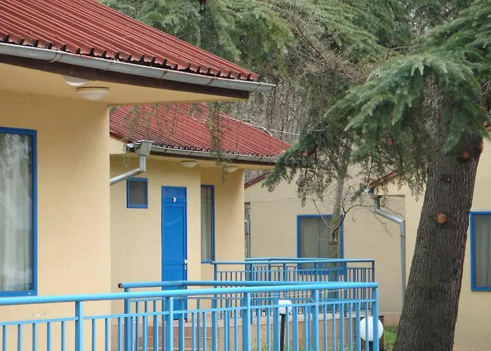 Балнеохотел Свети Мина Хотел 2*